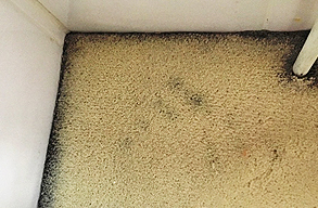 Draught marks filter up into carpet from underneath the backing and subfloor...